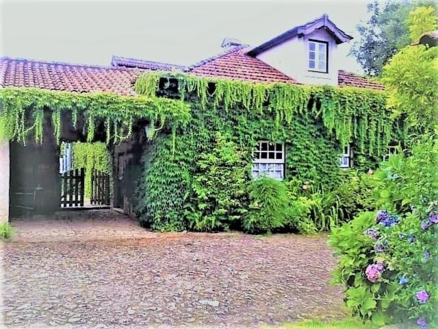 Casa Da Roseira Bed & Breakfast Ponte de Lima Exterior photo